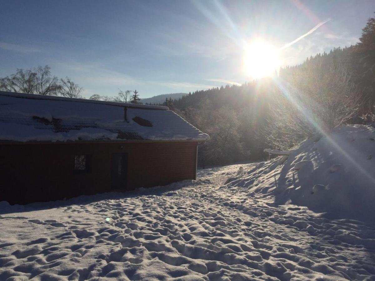 Chalet A L'Oree Du Bois ル・トリー エクステリア 写真