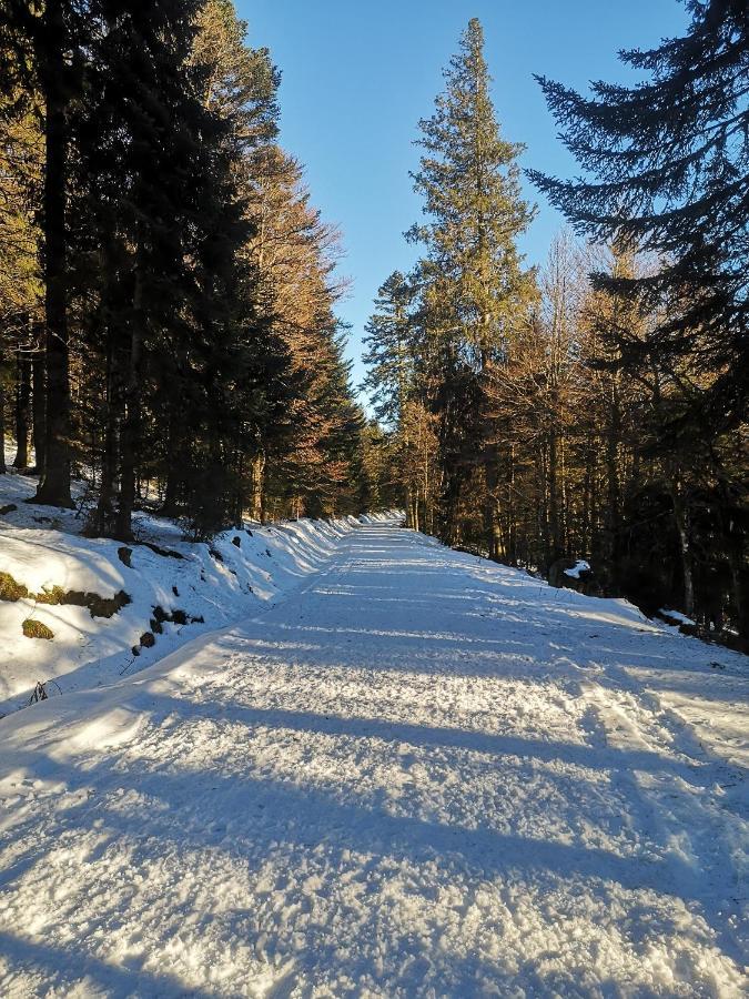 Chalet A L'Oree Du Bois ル・トリー エクステリア 写真
